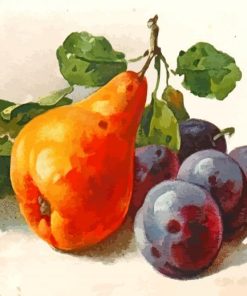 Pears and Plums Paint By Numbers
