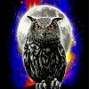 Galaxy Owl Fantasy Paint By Numbers