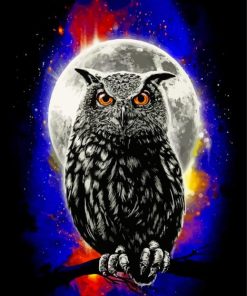 Galaxy Owl Fantasy Paint By Numbers