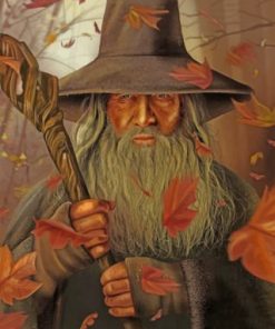 Gandalf Lord of the Rings Paint By Numbers