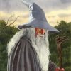 Gandalf Series Paint By Numbers