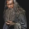 Gandalf The Lord of the Rings Paint By Numbers