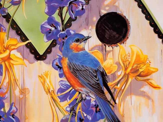 Bluebird Wildlife Paint By Numbers