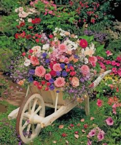 Garden Flowers Nature Paint By Numbers