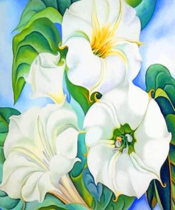 Georgia Okeeffe White Blooms Paint By Numbers