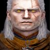 Geralt Witcher Paint By Numbers