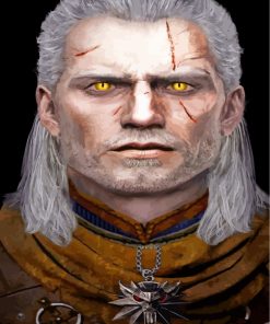 Geralt Witcher Paint By Numbers