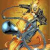 Marvel Ghost Rider Paint By Numbers