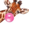 Giraffe Bubble Painting Kit for Beginners Paint By Numbers