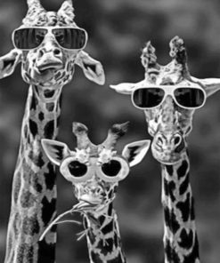 Giraffe Sunglasses Art Paint By Numbers