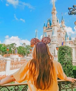 Disney-Inspired Female Journey Paint By Numbers