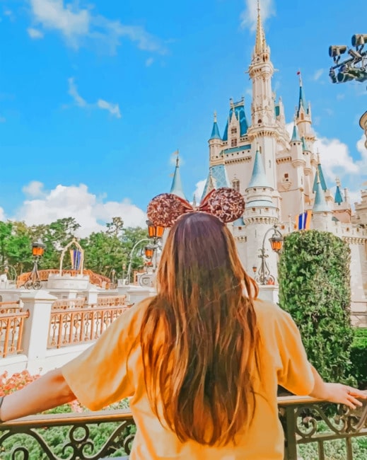 finalizing Disney-Inspired Female Journey Paint By Numbers artwork