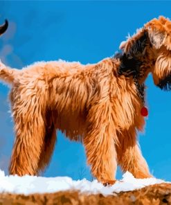 Golden Wheaten Terrier Dog Paint By Numbers