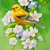 Goldfinch Blossoms Birds Paint By Numbers