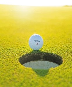 Golf Green Scene Paint By Numbers