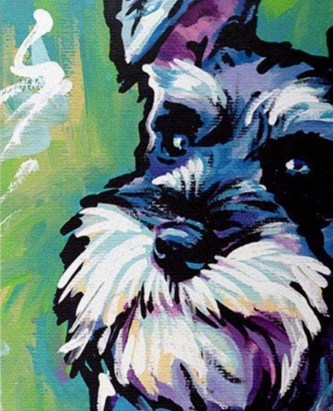 Graffiti Schnauzer Dog Paint By Numbers