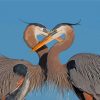 Blue Herons Wildlife Paint By Numbers