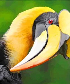 Great Hornbill Bird Paint By Numbers