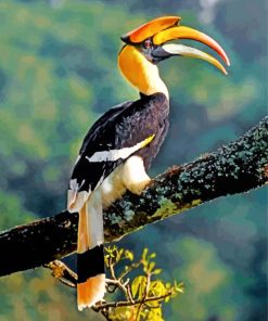 Great Hornbill Bird Art Paint By Numbers