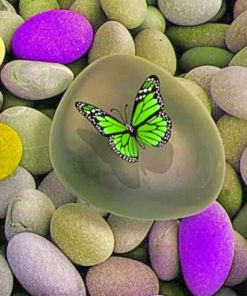 Green Butterfly Aesthetic Paint By Numbers