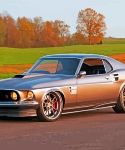 Grey Mustang Classic Car Paint By Numbers