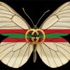 Gucci Butterfly Art Paint By Numbers