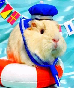 Guinea Pig Sailor Adventure Paint By Numbers