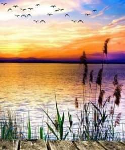 Lakeside Nature Paint By Numbers