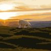 Sunrise Sheep Animals Paint By Numbers