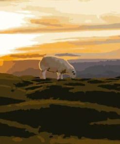 Sunrise Sheep Animals Paint By Numbers