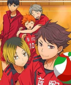 Haikyu Anime Paint By Numbers