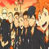 Haikyu Anime Volleyball Paint By Numbers