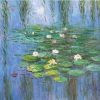 Claude Monet Waterlilies Landscape Paint By Numbers