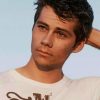 Dylan O Brien Paint By Numbers