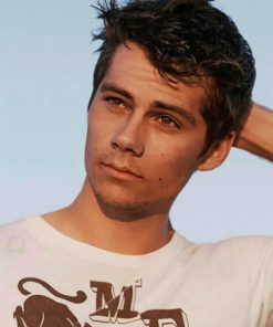 Dylan O Brien Paint By Numbers