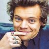 Harry Styles Music Icon Paint By Numbers