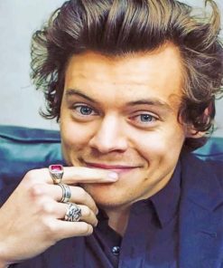 Harry Styles Music Icon Paint By Numbers