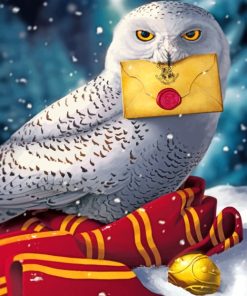 Hedwig Owl Magic Hogwarts Paint By Numbers