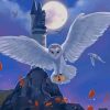 Hedwig Owl Magic Paint By Numbers