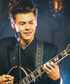 Harry Styles Guitar Paint By Numbers