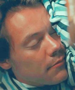 Harry Styles One Direction Singer Paint By Numbers