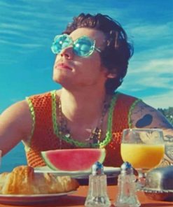Harry Styles One Direction Paint By Numbers