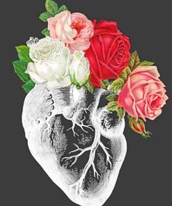 Floral Heart Paint By Numbers
