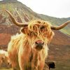 Highland Cow Scenic Paint By Numbers