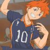 Hinata Haikyuu Anime Paint By Numbers
