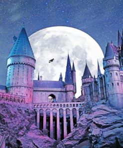 Magical Hogwarts Castle Paint By Numbers