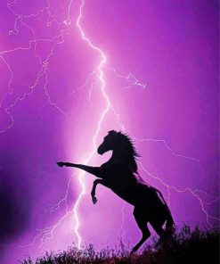 Horse Thunderstorm Silhouette Paint By Numbers