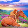 Horses and Foals in Nature Paint By Numbers
