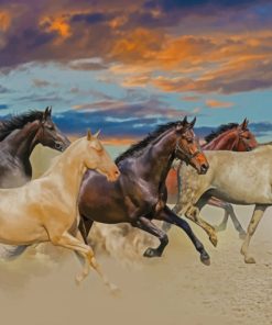 Arabian Horses Herd Paint By Numbers