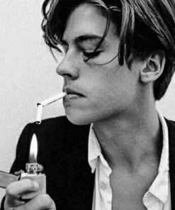 Monochrome Cole Sprouse Paint By Numbers